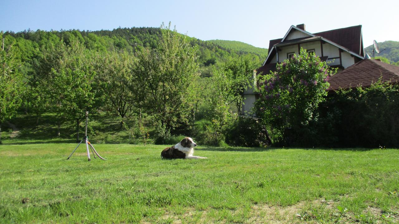 Cabana Poiana Galdei Bagian luar foto